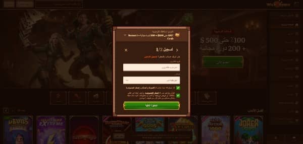 Enter your email address ,create a strong password for your account and accept terms and conditions on WildRobin Casino