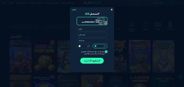 Enter your name, date of birth, and gender on PlayZilla Casino