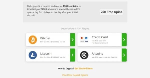 Open the cashier and choose American Express.