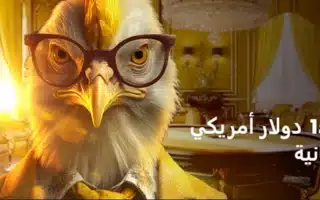 مكافأة الإيداع الرابع بنسبة 75% حتى 1500 دولار مع 100 لفة مجانية
